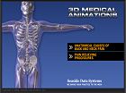 3D Video
